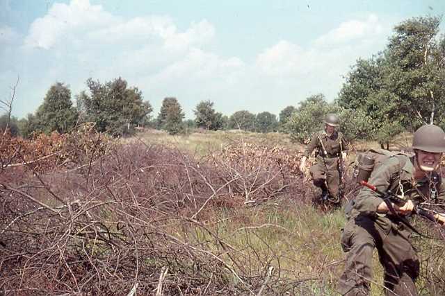 Copy of box3scan20059.jpg